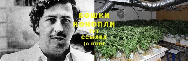 соль курить ск Белокуриха